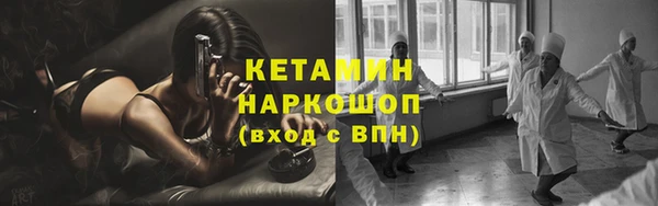 гидра Аркадак