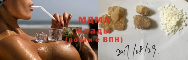 прущие грибы Арсеньев