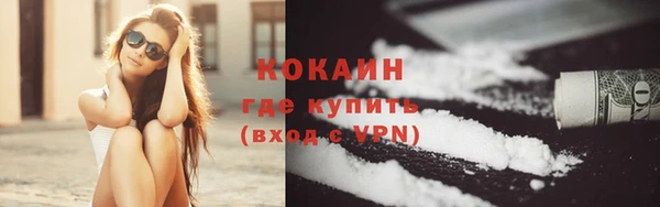 гидра Аркадак