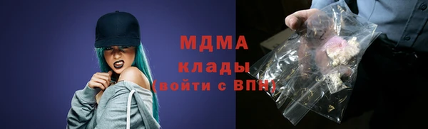 прущие грибы Арсеньев