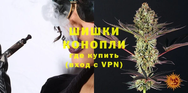 прущие грибы Арсеньев